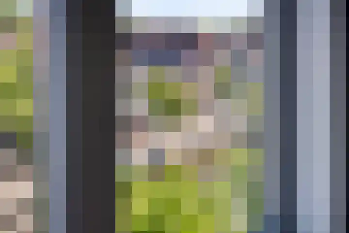 Luttik Oudorp 49 D Alkmaar thumbnail 34