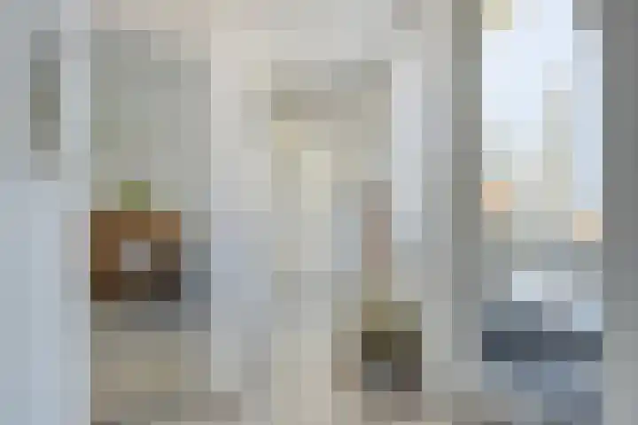 Luttik Oudorp 49 D Alkmaar thumbnail 35