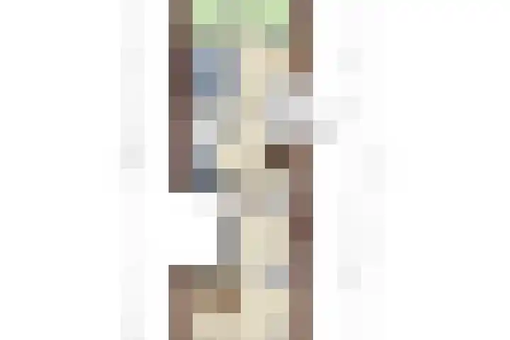 Luttik Oudorp 49 D Alkmaar thumbnail 36