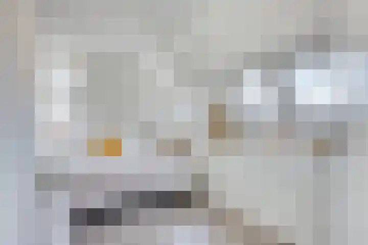 Luttik Oudorp 49 D Alkmaar thumbnail 4