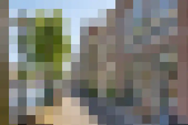 Luttik Oudorp 49 D Alkmaar thumbnail 5