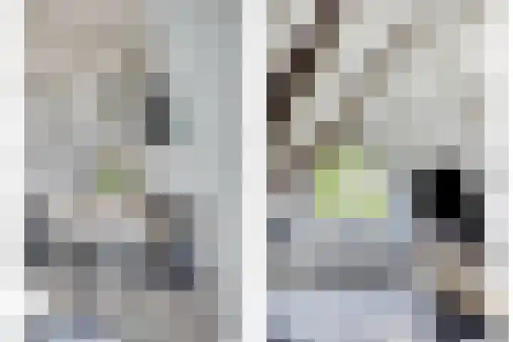 Luttik Oudorp 49 D Alkmaar thumbnail 8