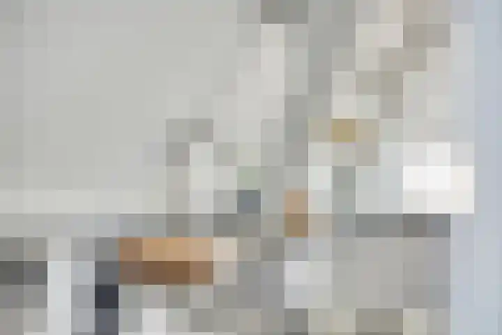 Luttik Oudorp 49 D Alkmaar thumbnail 9