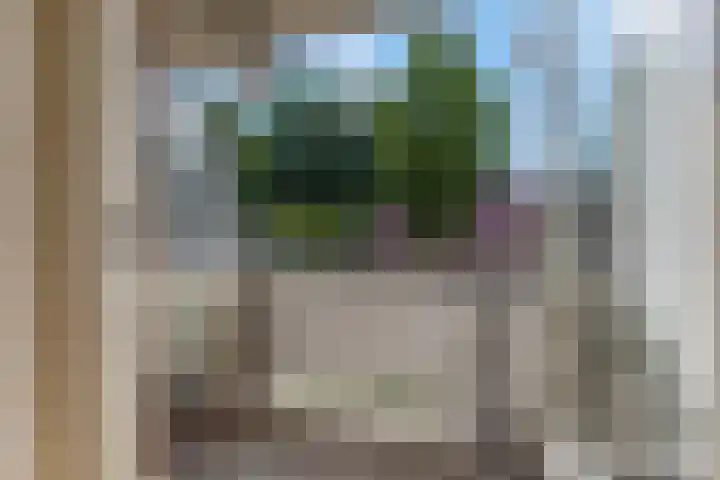 Luttikenerf 50 Ede thumbnail 19