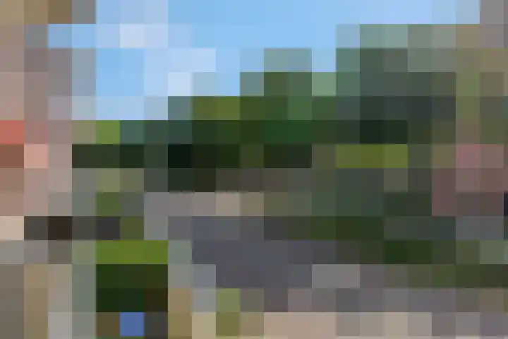 Luttikenerf 50 Ede thumbnail 20