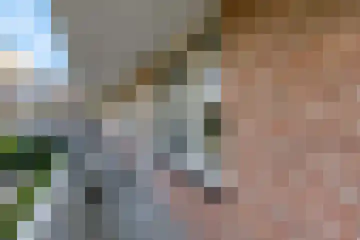 Luttikenerf 50 Ede thumbnail 22