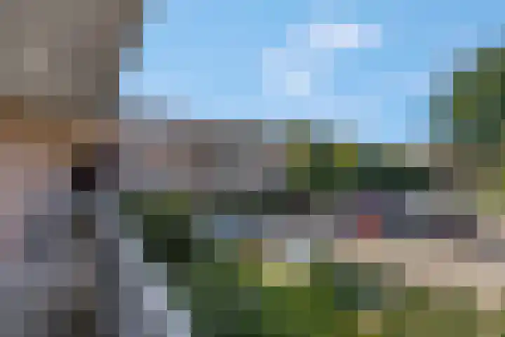 Luttikenerf 50 Ede thumbnail 24