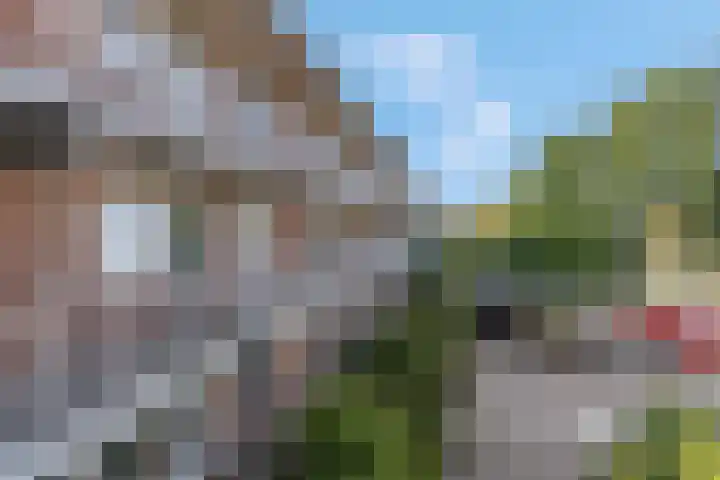 Luttikenerf 50 Ede thumbnail 25