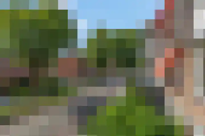Luttikenerf 50 Ede thumbnail 27