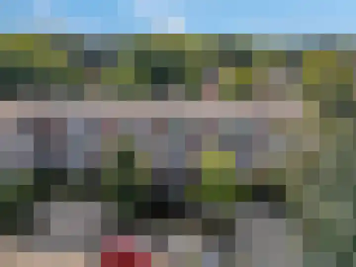 Luttikenerf 50 Ede thumbnail 29