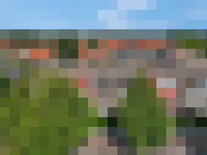 Luttikenerf 50 Ede thumbnail 30