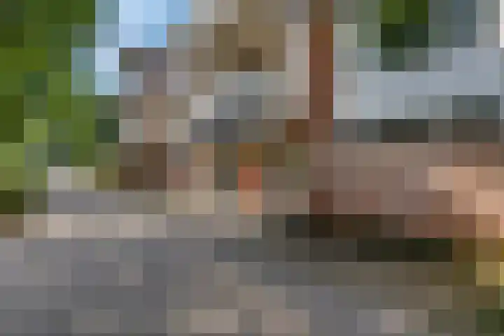 Luttikenerf 50 Ede thumbnail 31