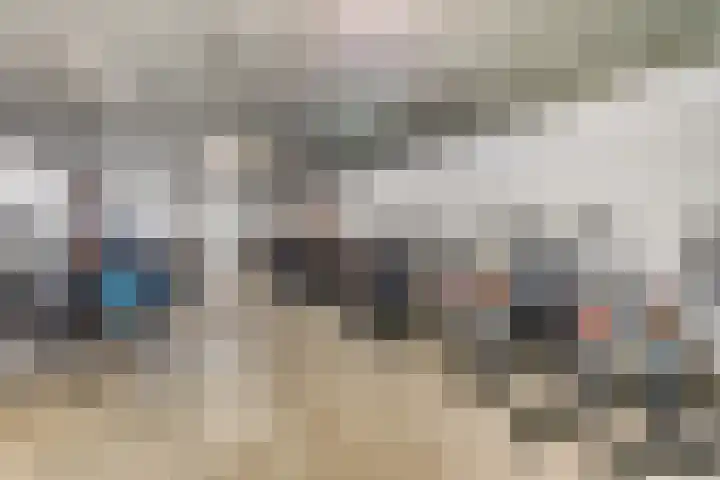 Luttikenerf 50 Ede thumbnail 33