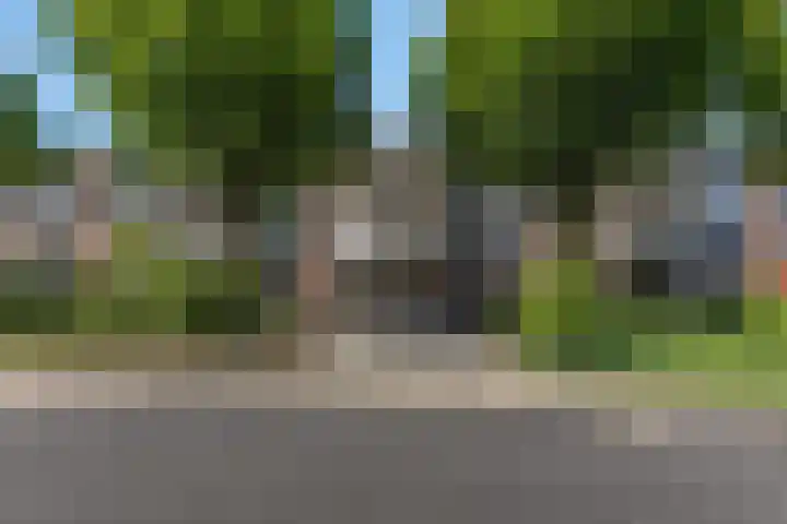 Luttikenerf 50 Ede thumbnail 37
