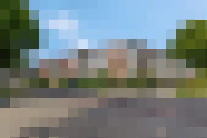 Luttikenerf 50 Ede thumbnail 39