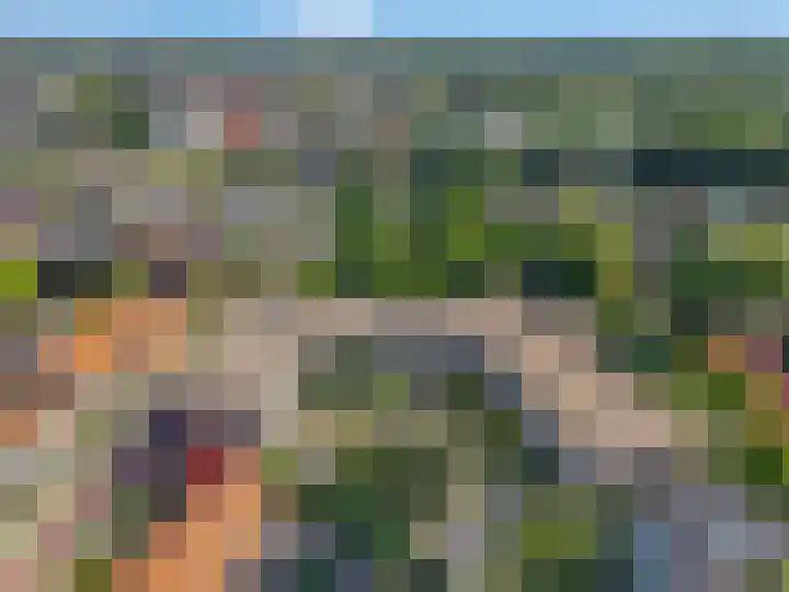 Luttikenerf 50 Ede thumbnail 40