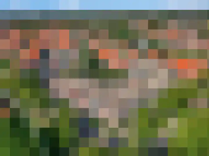 Luttikenerf 50 Ede thumbnail 41