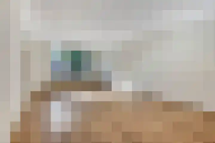 Luttikenerf 50 Ede thumbnail 6