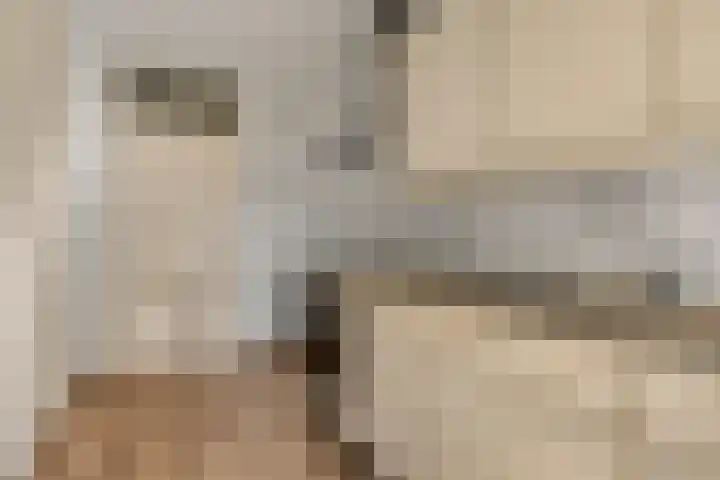 Luttikenerf 50 Ede thumbnail 7