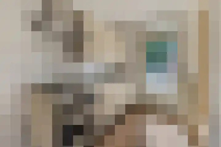 Luttikenerf 50 Ede thumbnail 8