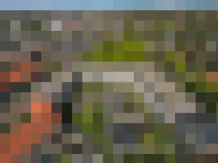 Luttikenerf 56 Ede thumbnail 22