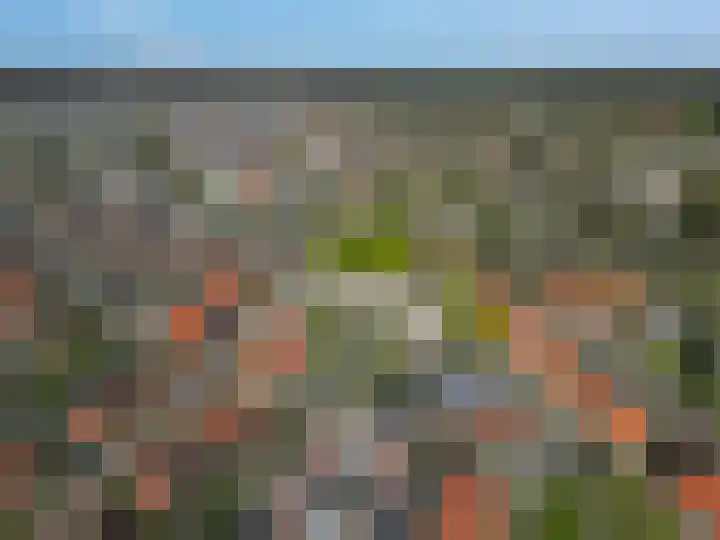 Luttikenerf 56 Ede thumbnail 23