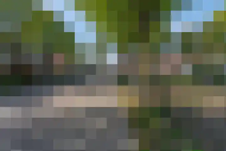 Luttikenerf 56 Ede thumbnail 24