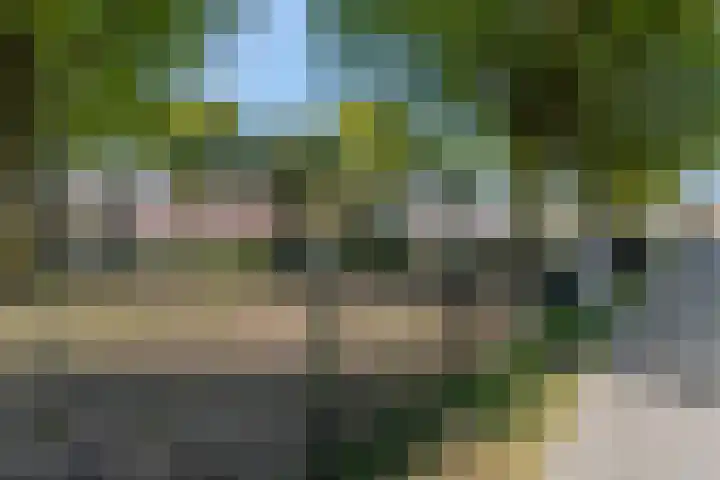 Luttikenerf 56 Ede thumbnail 25
