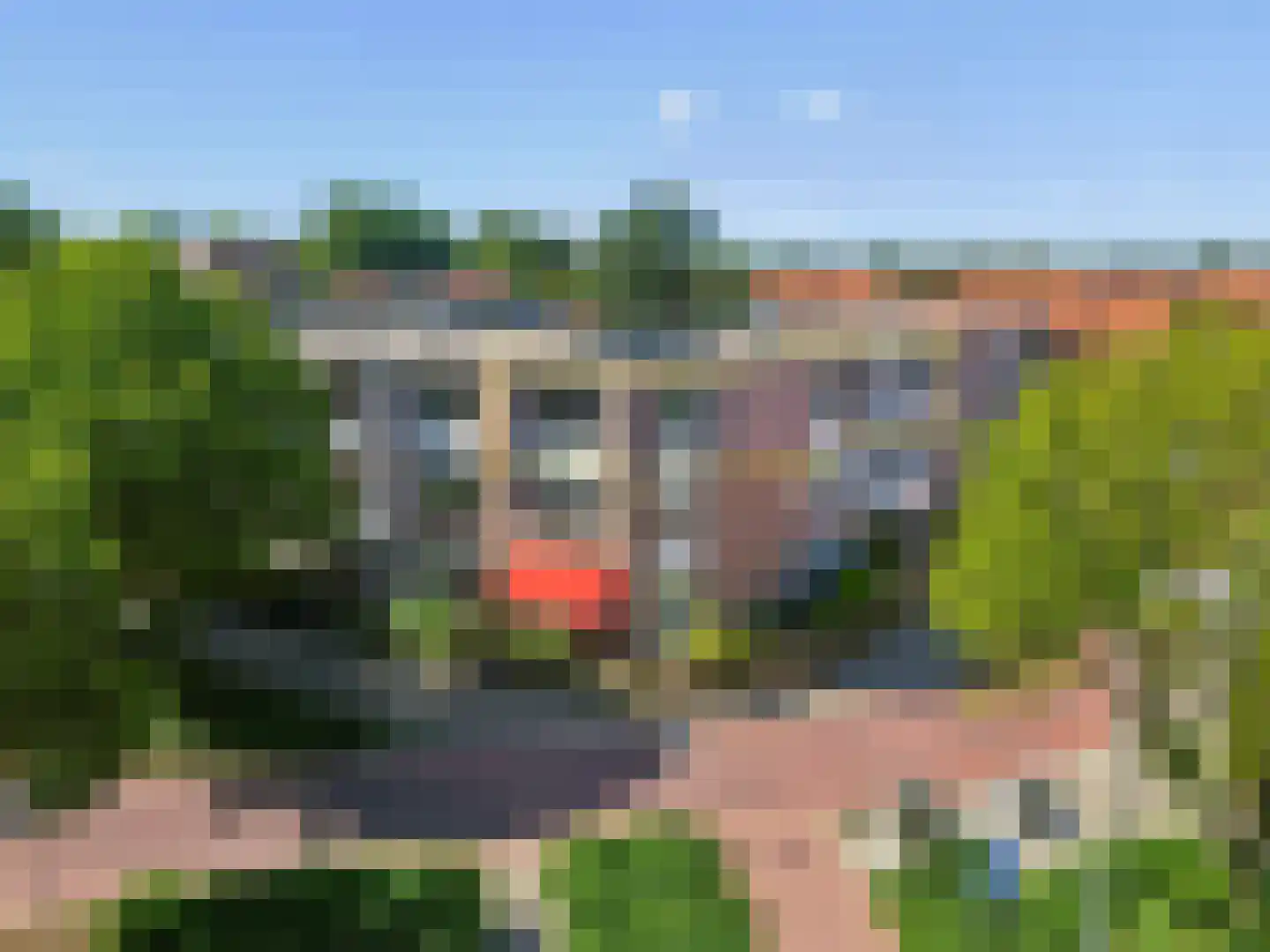Luttikenerf 62 in Ede