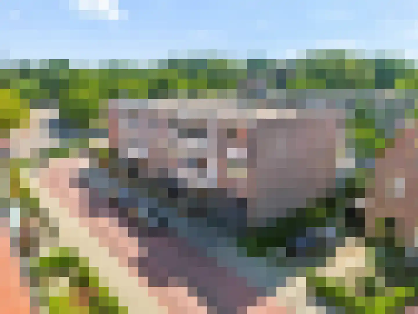 Luttikenerf 62 Ede thumbnail 33