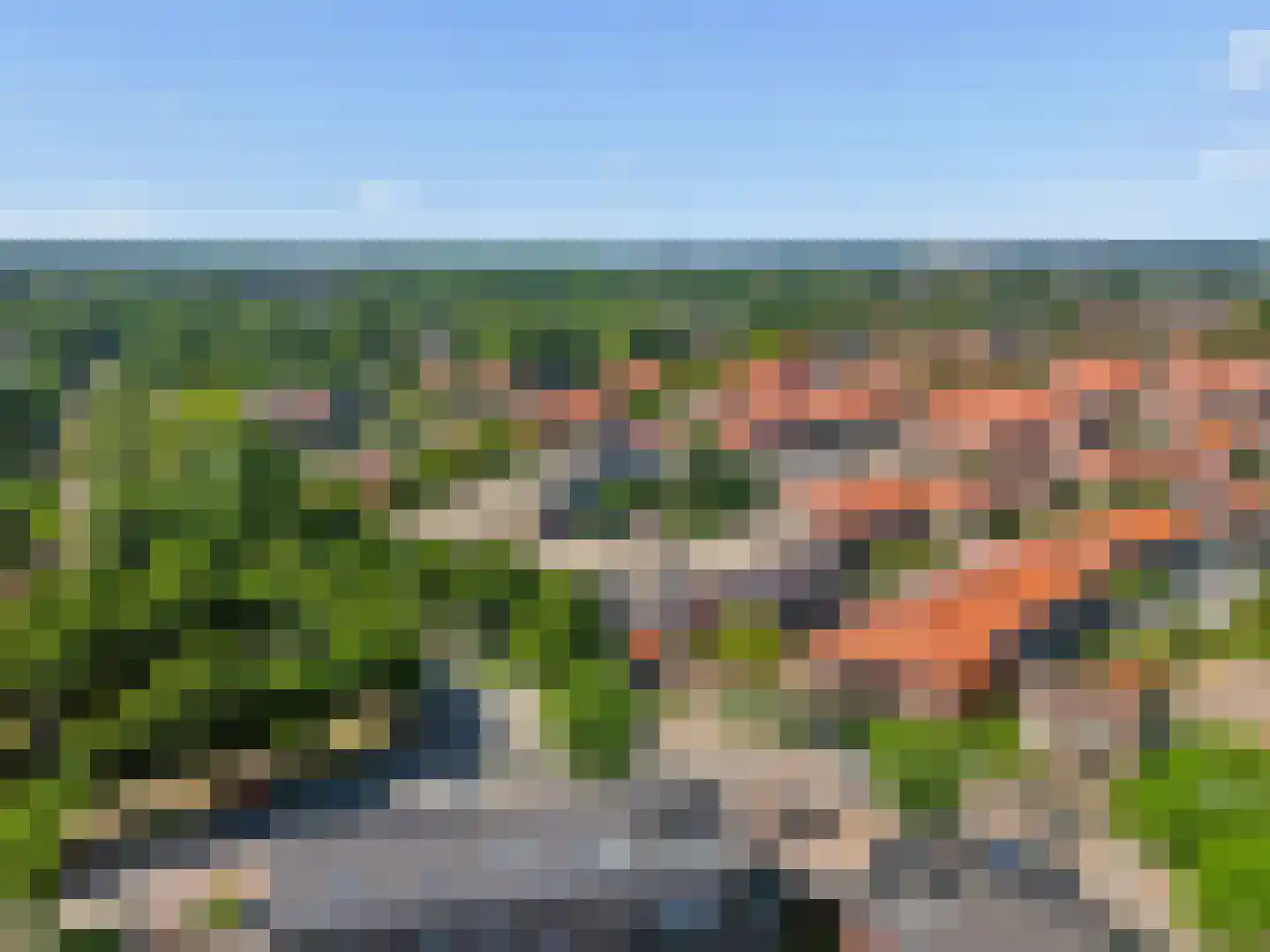Luttikenerf 62 Ede thumbnail 37