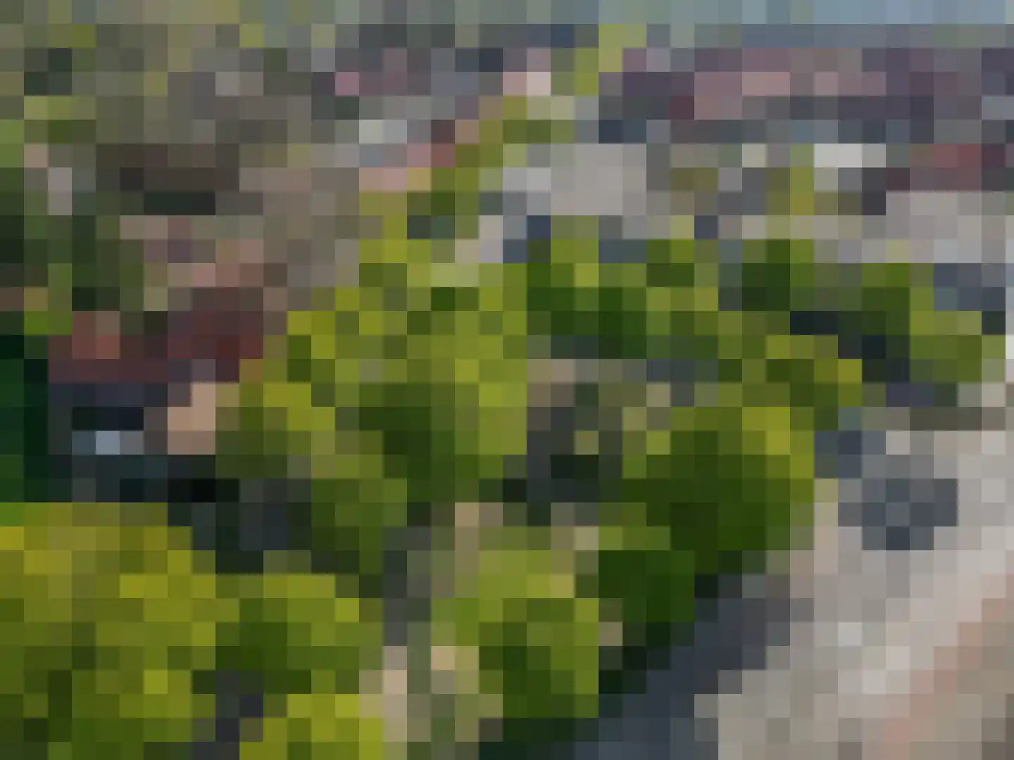 Luttikenerf 8 Ede thumbnail 35