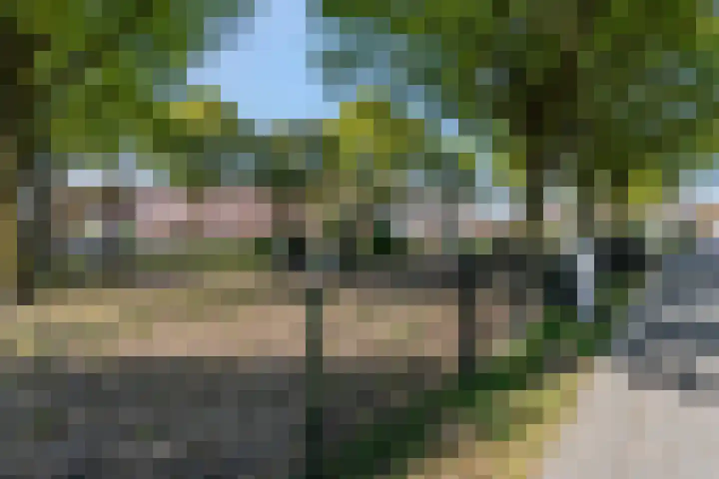 Luttikenerf 8 Ede thumbnail 36
