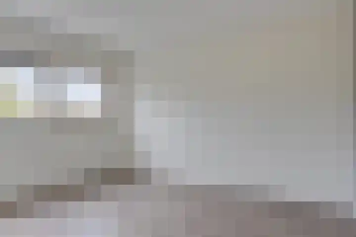 Luttikhof 15 Heerhugowaard thumbnail 16