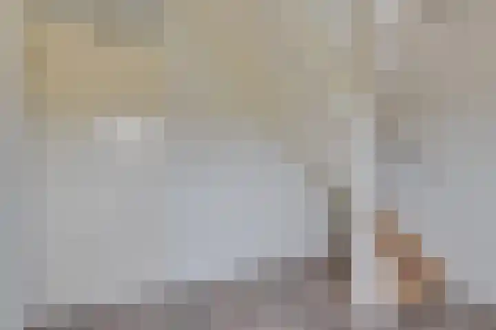 Luttikhof 15 Heerhugowaard thumbnail 20
