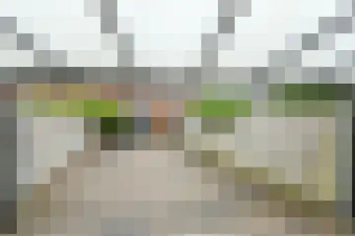Luttikhof 15 Heerhugowaard thumbnail 40