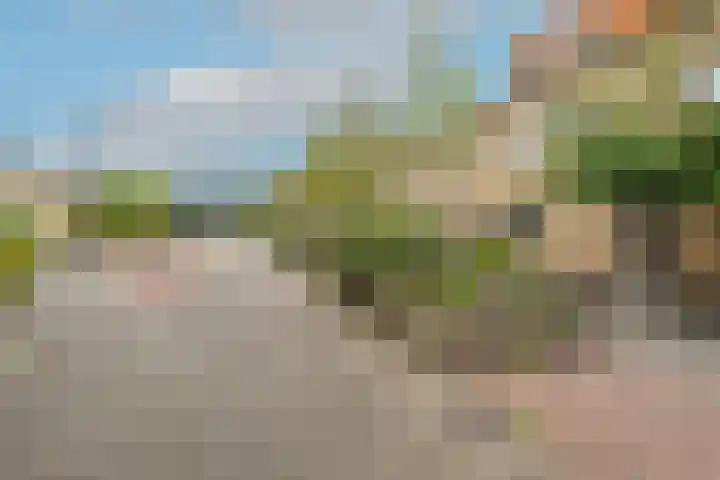 Luttikhof 15 Heerhugowaard thumbnail 44