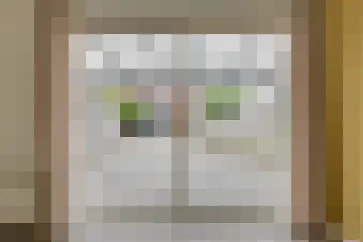 Luttikhof 15 Heerhugowaard thumbnail 9
