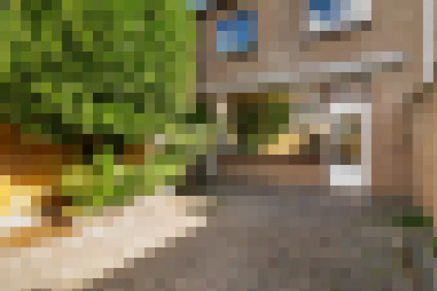 Lutulisingel 45 Rotterdam thumbnail 12