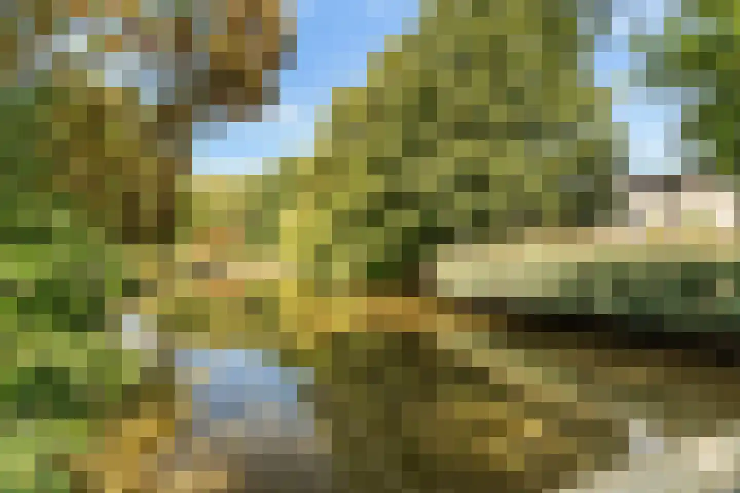 Lutulisingel 45 Rotterdam thumbnail 37