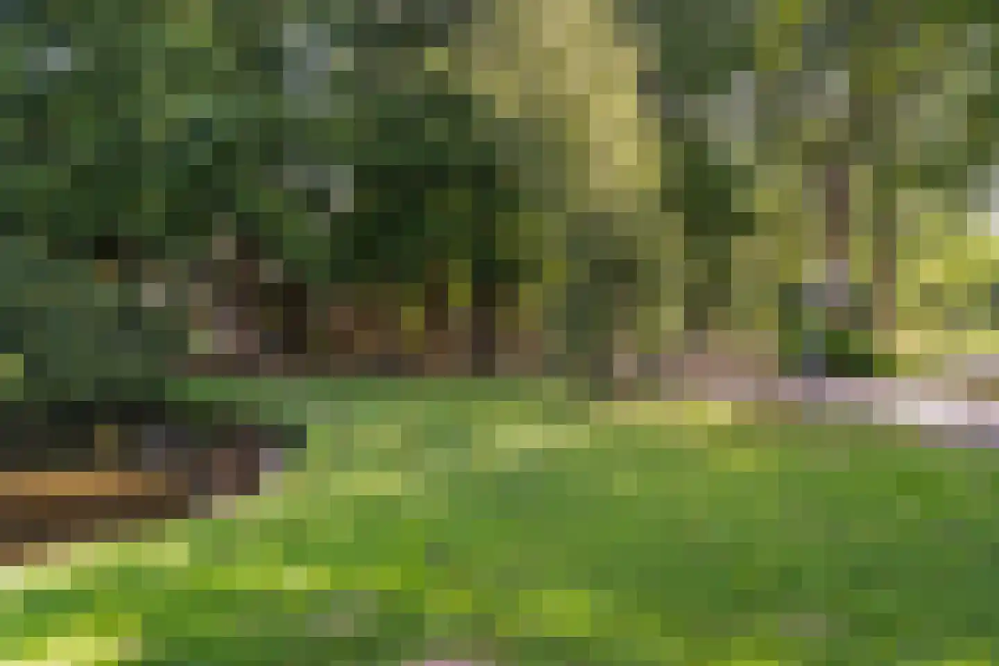 Lutulisingel 45 Rotterdam thumbnail 39