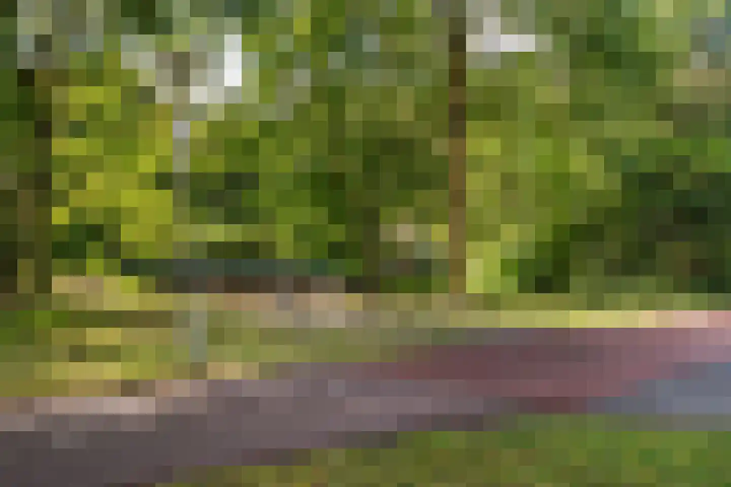 Lutulisingel 45 Rotterdam thumbnail 5
