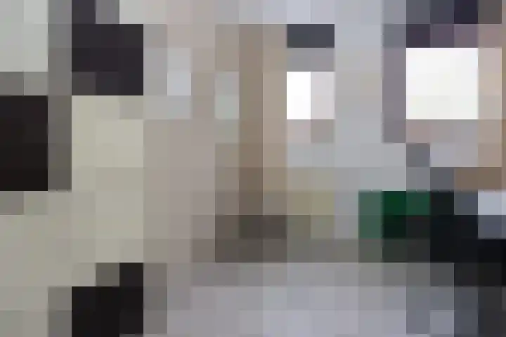 Lutulistate 11 Ede thumbnail 16