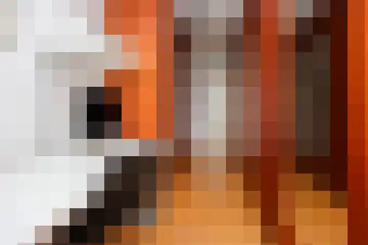 Lutulistate 11 Ede thumbnail 18