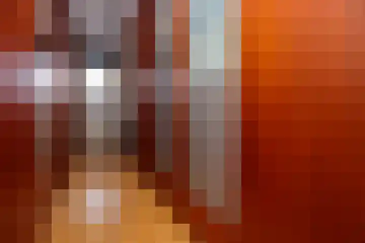 Lutulistate 11 Ede thumbnail 19