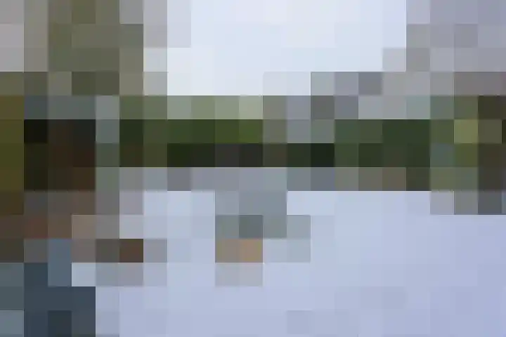 Lutulistate 11 Ede thumbnail 25