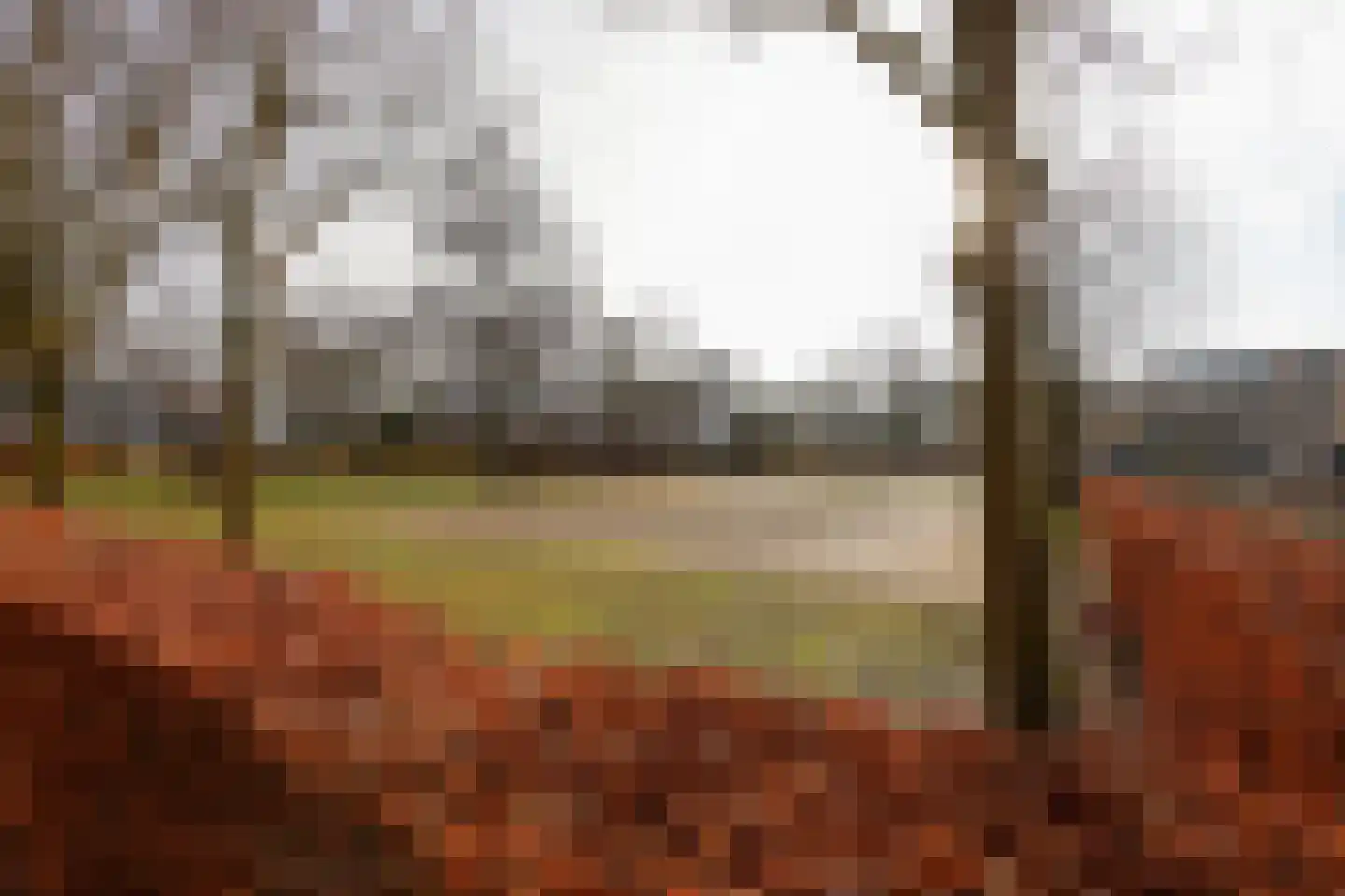 Lutulistate 11 Ede thumbnail 37