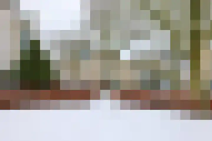 Lutulistate 11 Ede thumbnail 33