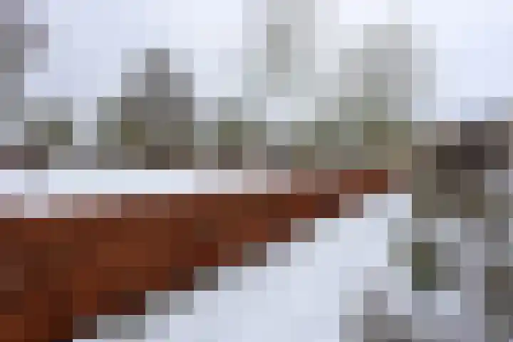 Lutulistate 11 Ede thumbnail 35