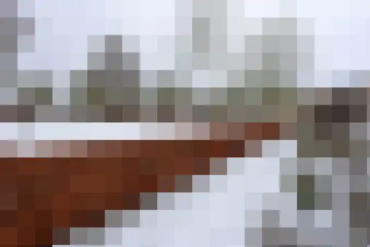 Lutulistate 11 Ede thumbnail 4